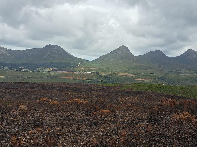 0 Bedroom Property for Sale in Kareedouw Eastern Cape